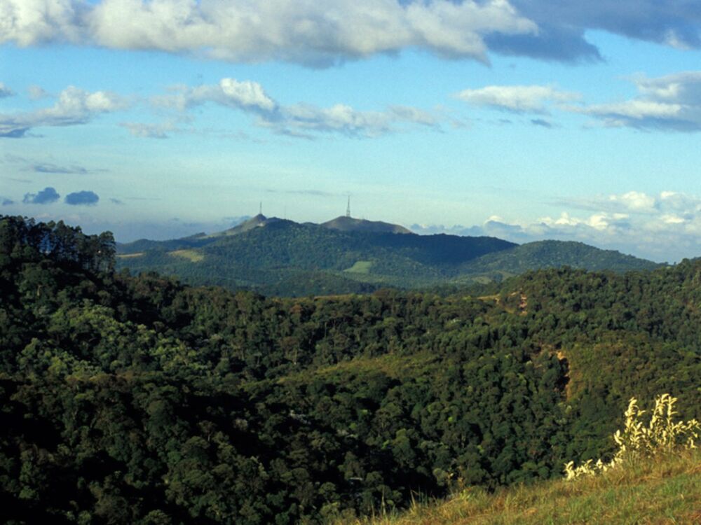 Terreno, 864 m² - Foto 6