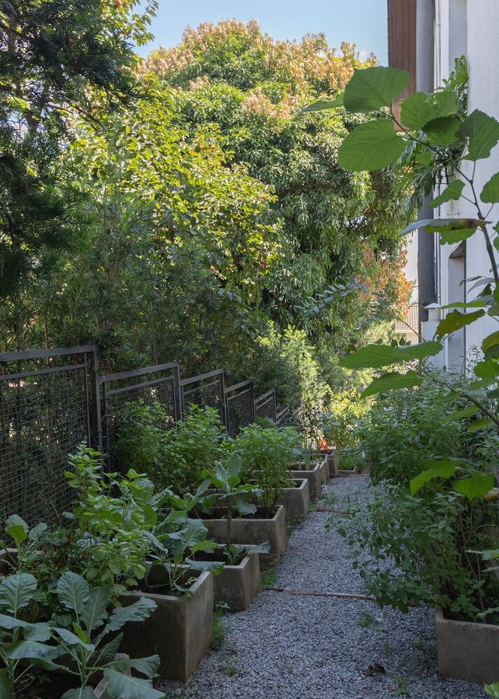 Casa de Condomínio, 6 quartos - Foto 3