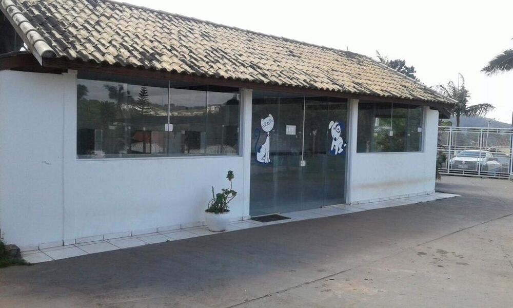 Terreno, 13000 m² - Foto 12