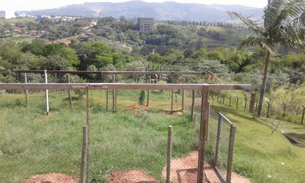 Terreno, 13000 m² - Foto 11