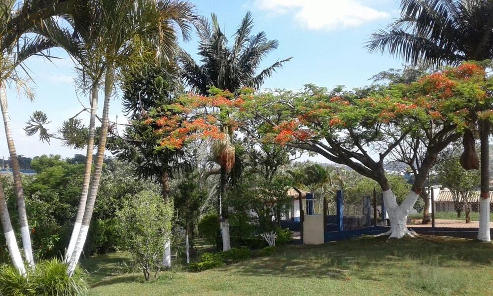 Terreno, 13000 m² - Foto 3