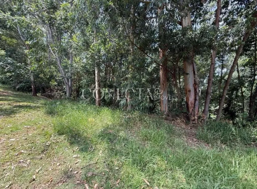Terreno, 2916 m² - Foto 1