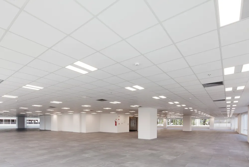 Sala-Conjunto, 2000 m² - Foto 5