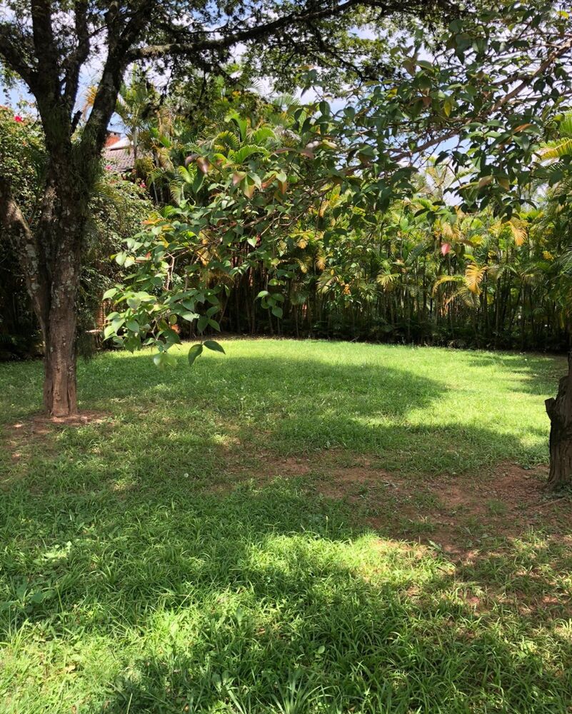 Terreno, 438 m² - Foto 6