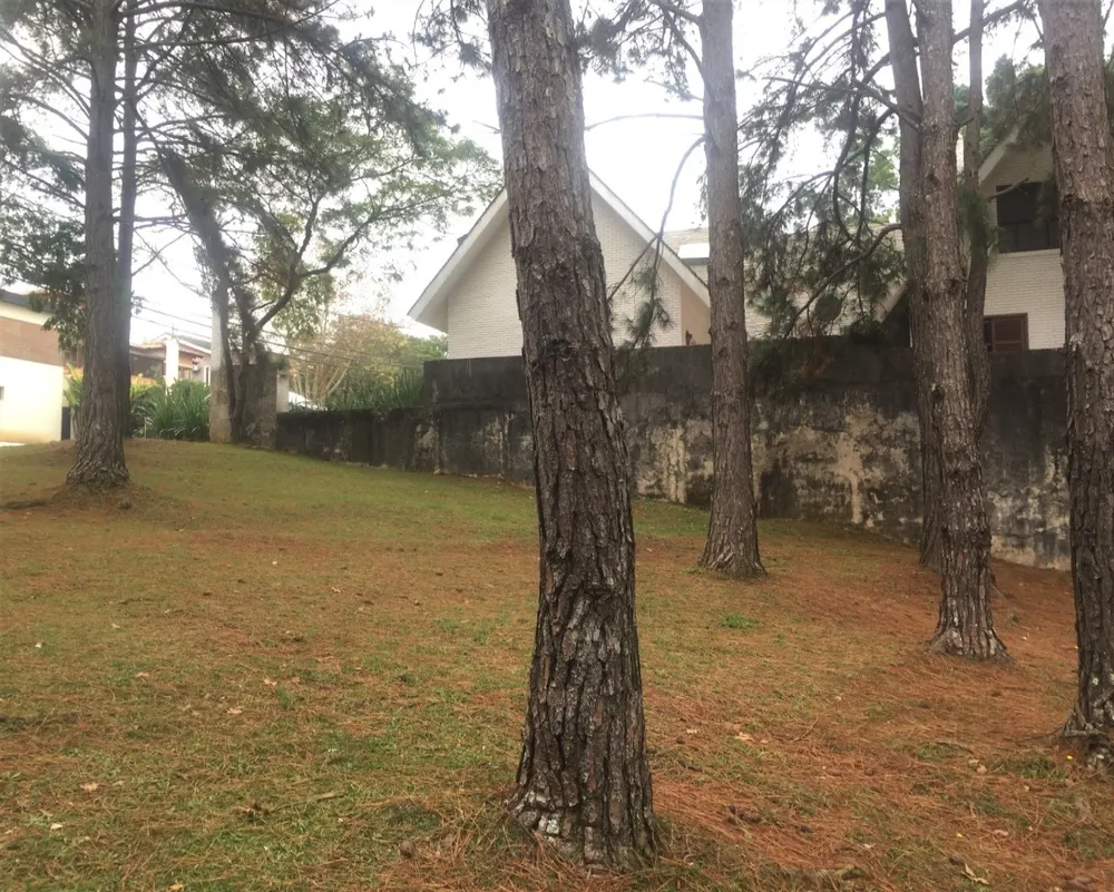 Terreno, 834 m² - Foto 6