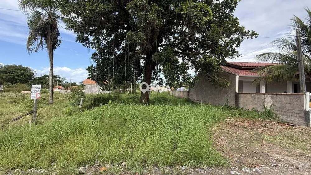Terreno - Foto 7