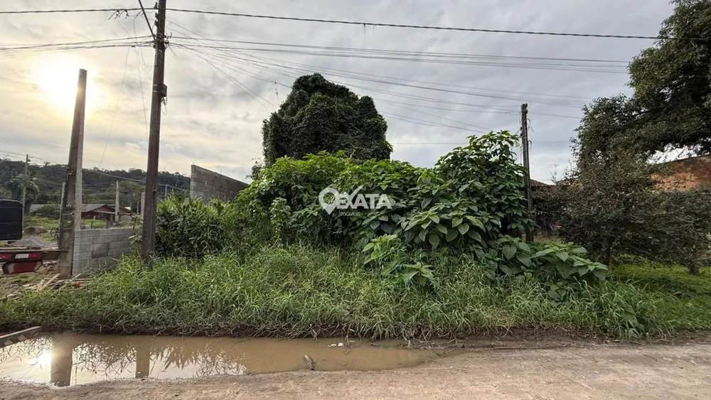 Terreno - Foto 4