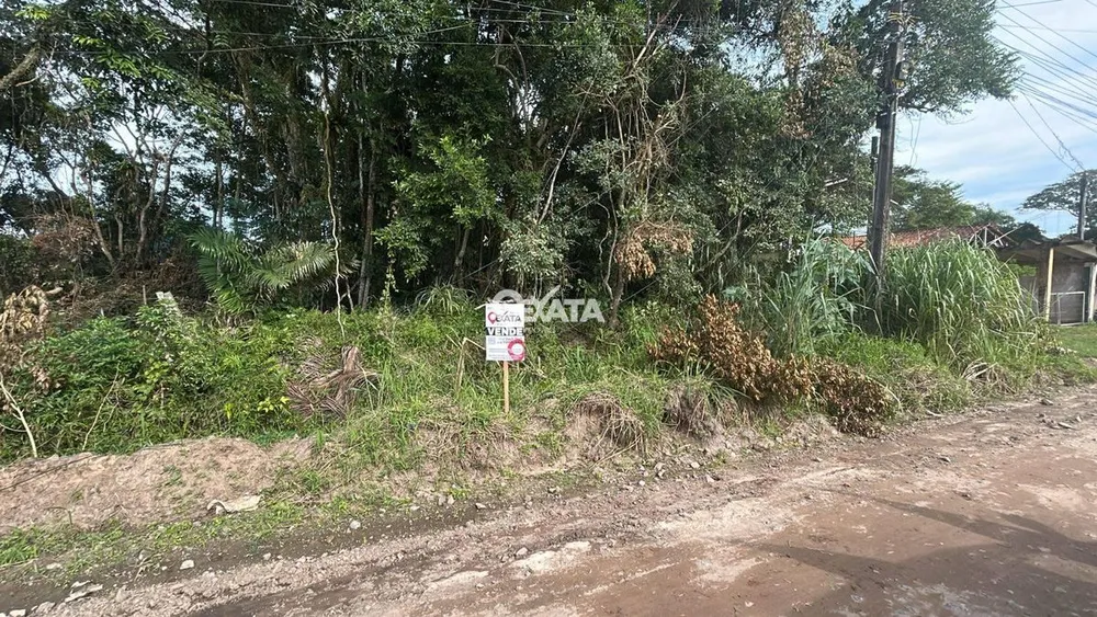 Terreno, 392 m² - Foto 3