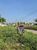 Terreno, 360 m² - Foto 2