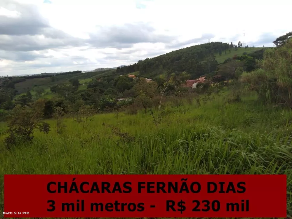 Terreno, 3000 m² - Foto 2