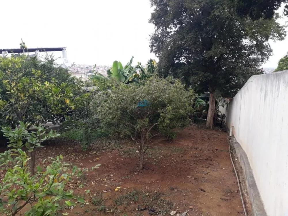 Casa, 3 quartos, 600 m² - Foto 12