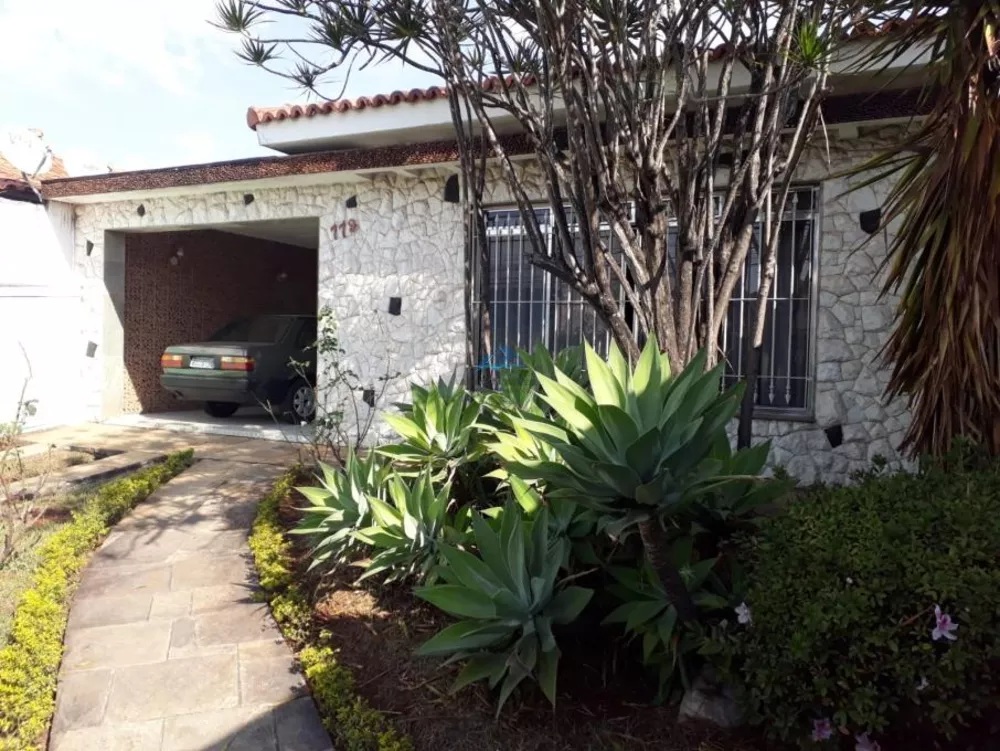 Casa, 3 quartos, 600 m² - Foto 4