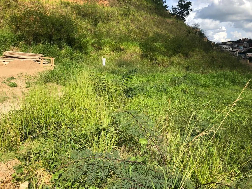 Terreno, 578 m² - Foto 6