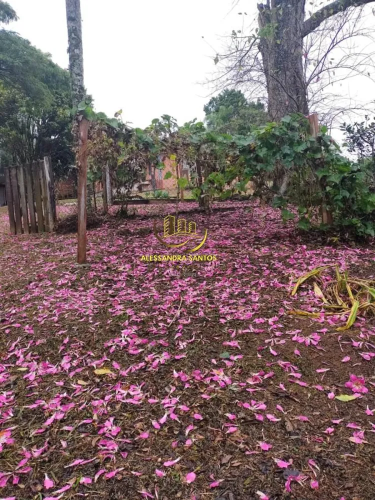 Sítio, 2 quartos, 4 hectares - Foto 12