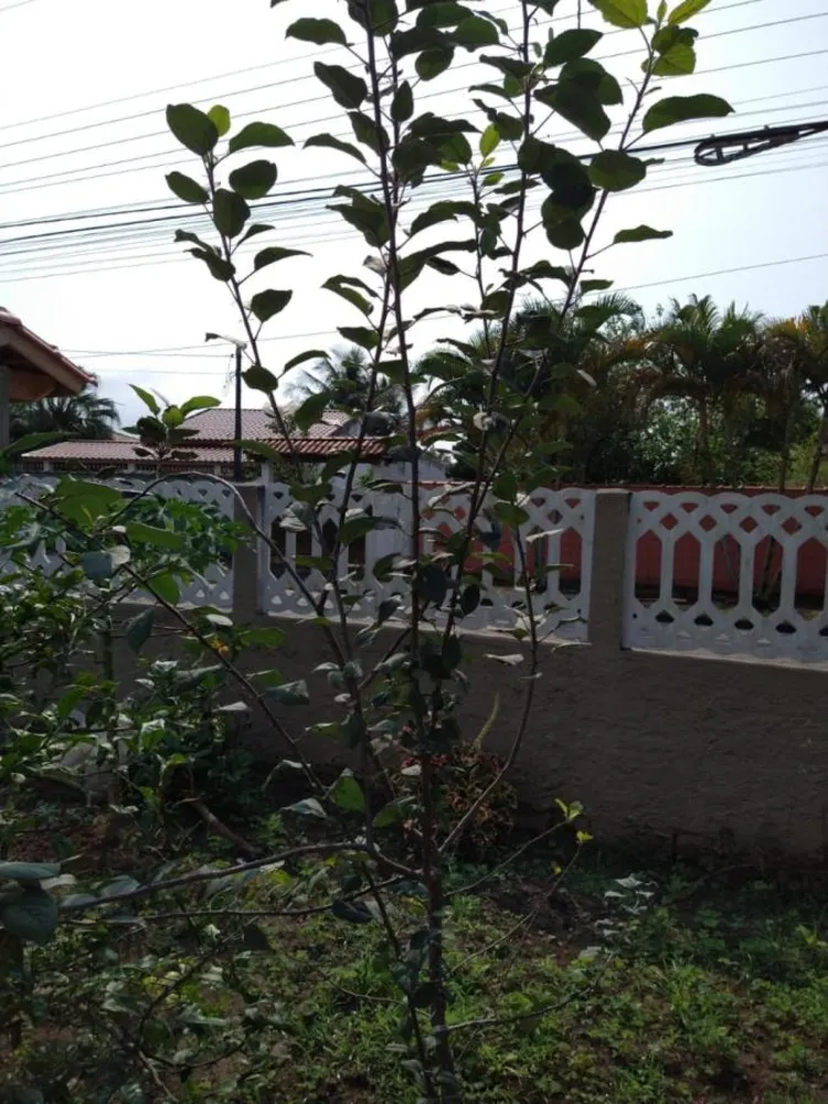 Terreno, 300 m² - Foto 1