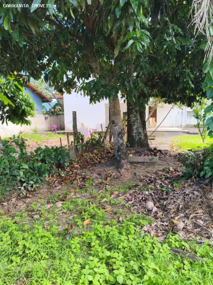 Terreno, 300 m² - Foto 7