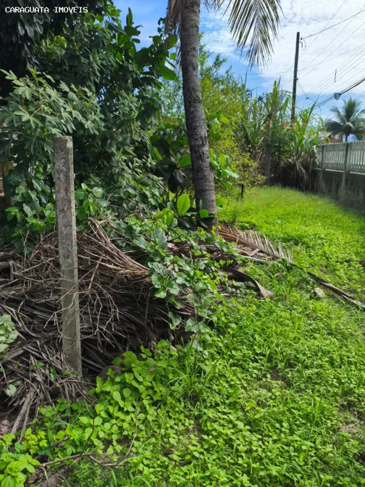 Terreno, 300 m² - Foto 5