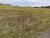 Terreno, 1000 m² - Foto 2