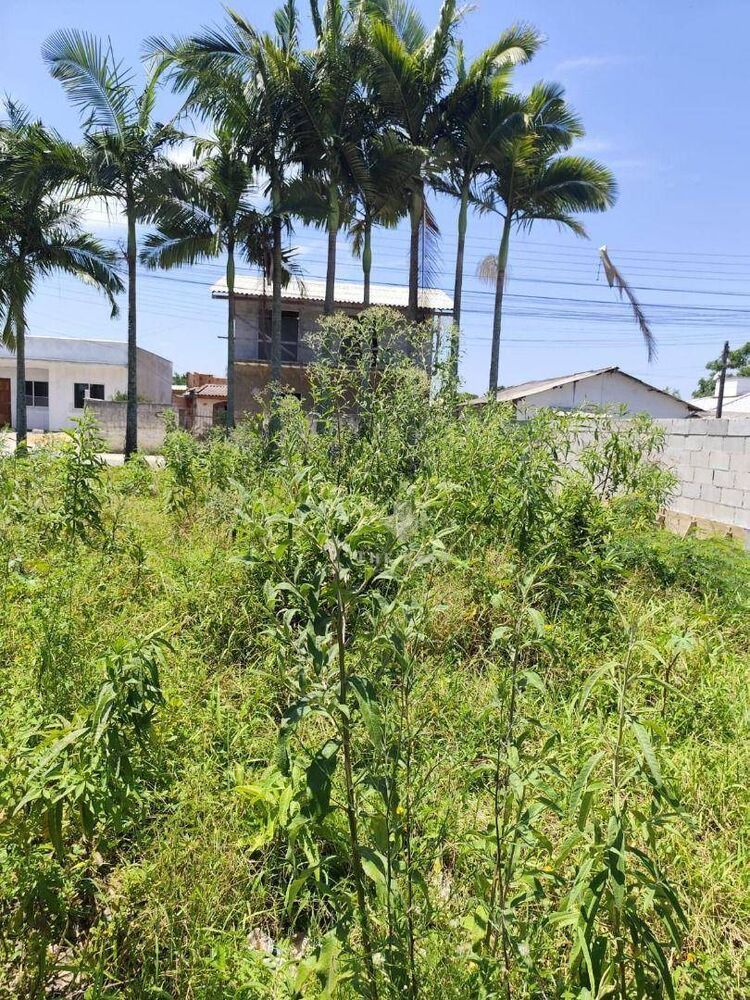 Loteamento e Condomínio, 504 m² - Foto 2