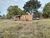 Chácara, 4 hectares - Foto 10