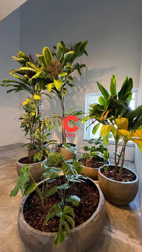 Apartamento, 3 quartos, 88 m² - Foto 7
