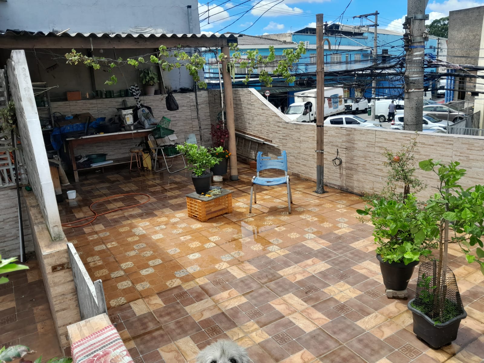 Sobrado à venda com 2 quartos, 198m² - Foto 7