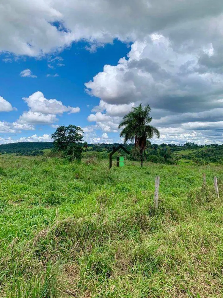 Fazenda, 83 hectares - Foto 3