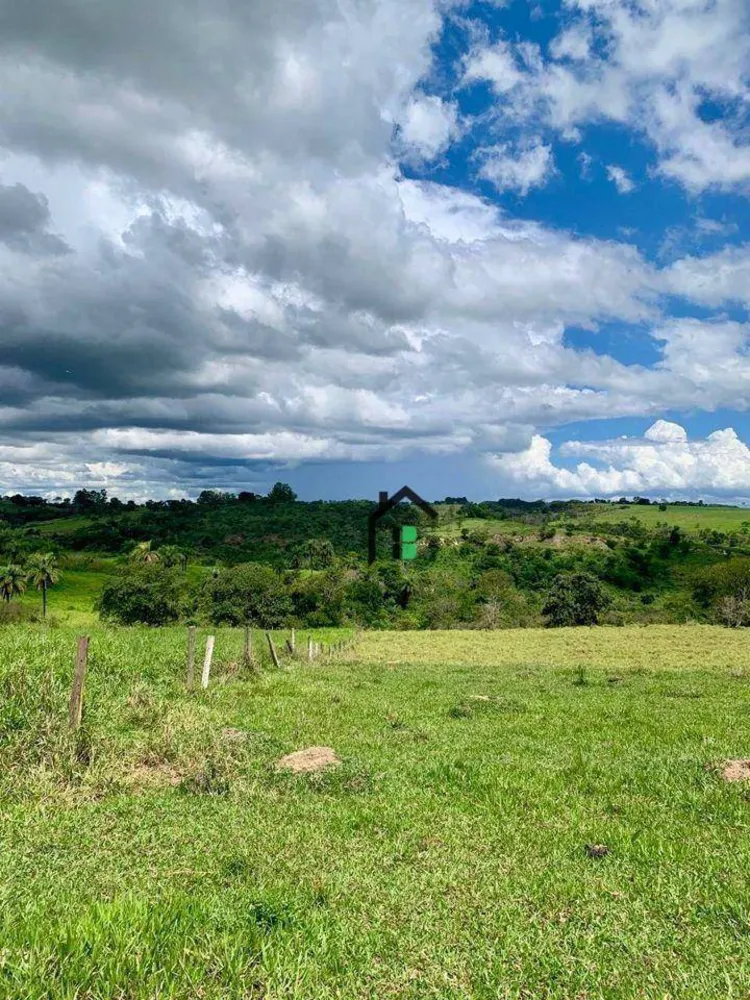 Fazenda, 83 hectares - Foto 2
