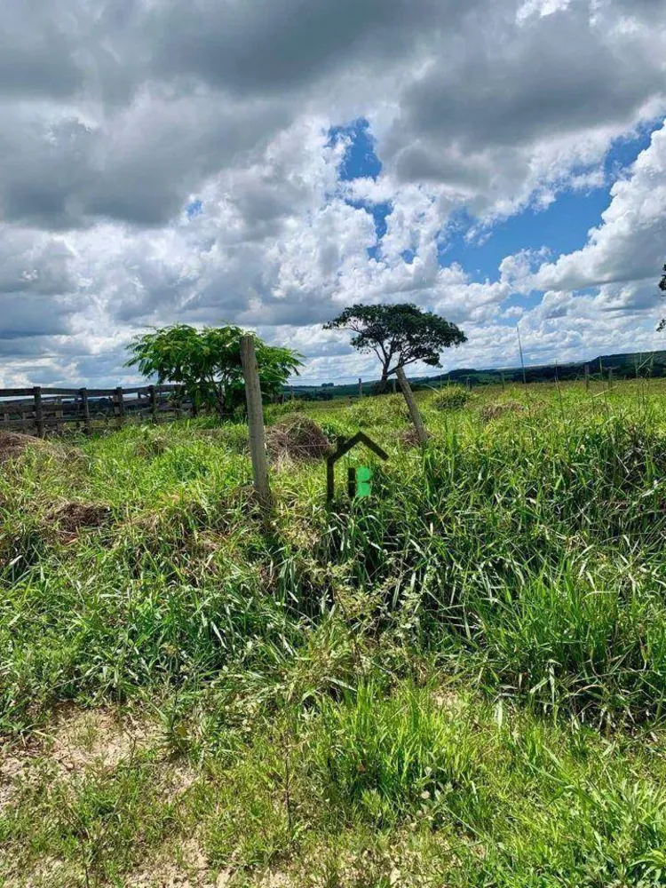 Fazenda, 83 hectares - Foto 4