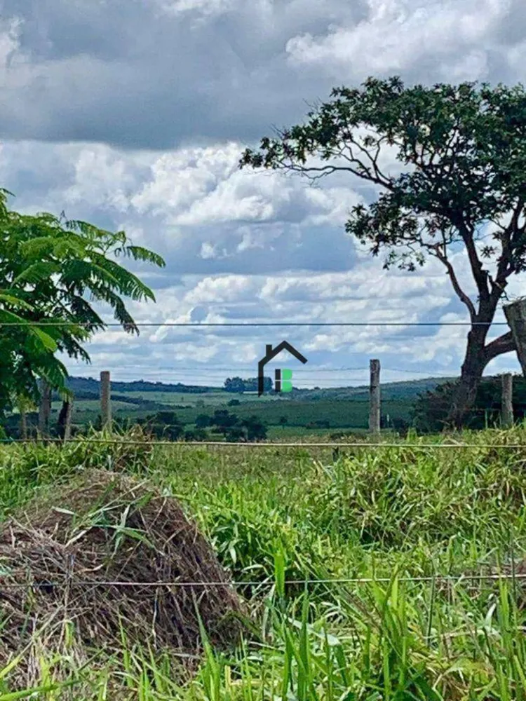 Fazenda, 83 hectares - Foto 6