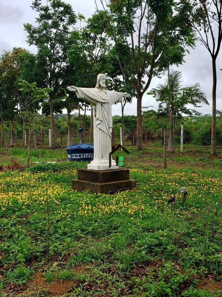 Fazenda, 15 hectares - Foto 11