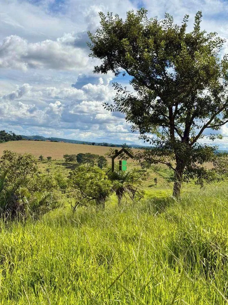 Fazenda, 5 hectares - Foto 7