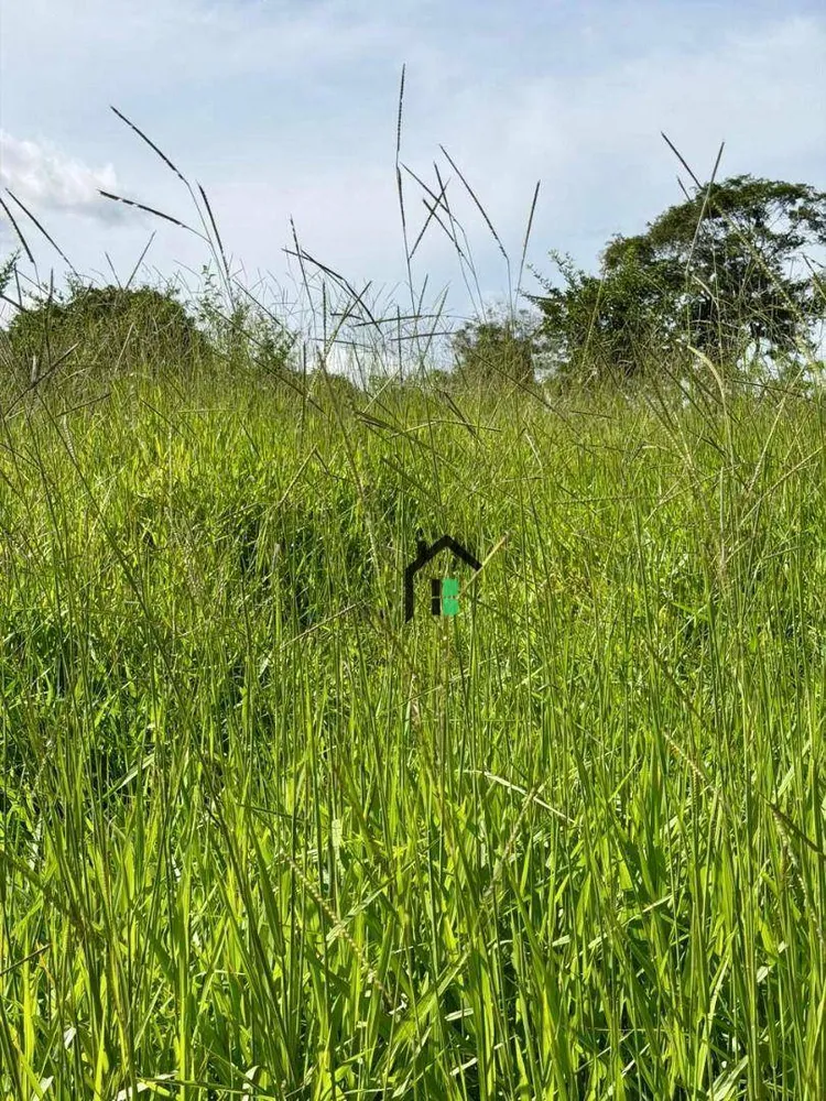 Fazenda, 5 hectares - Foto 9