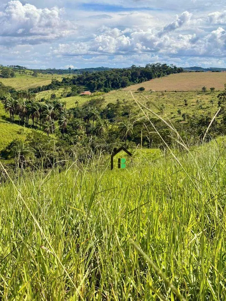 Fazenda, 5 hectares - Foto 1