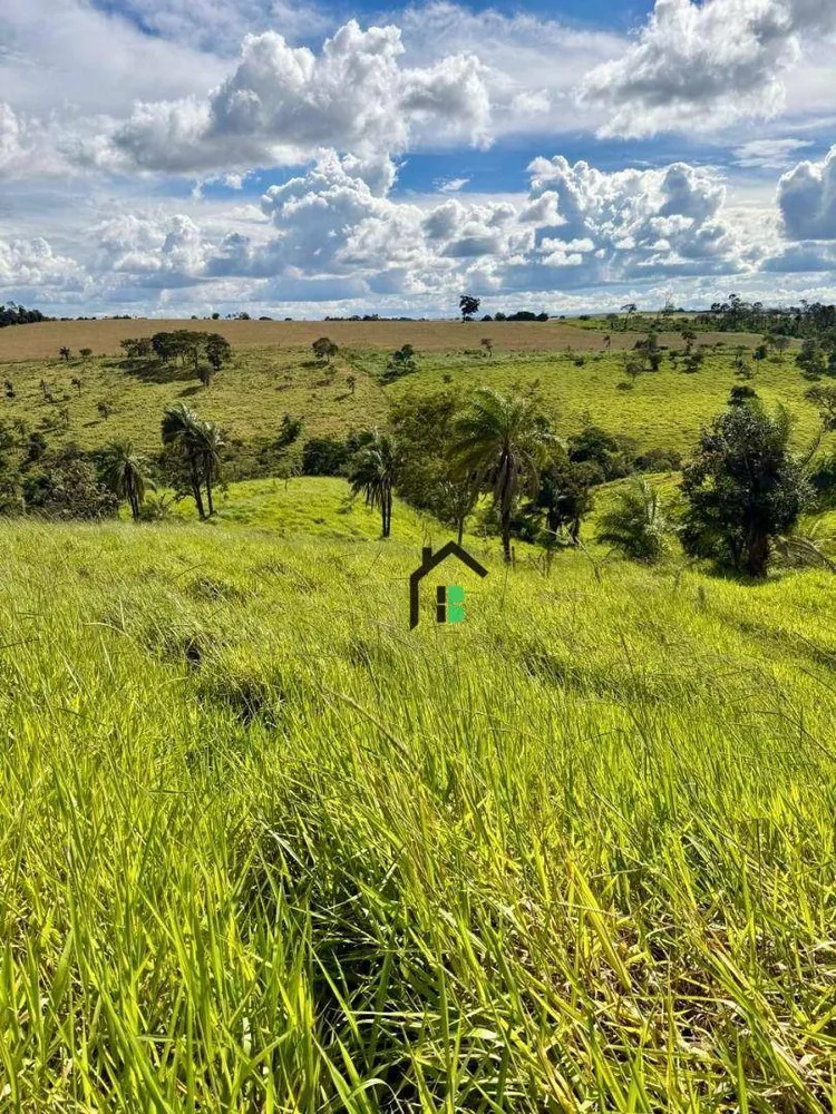 Fazenda, 5 hectares - Foto 6