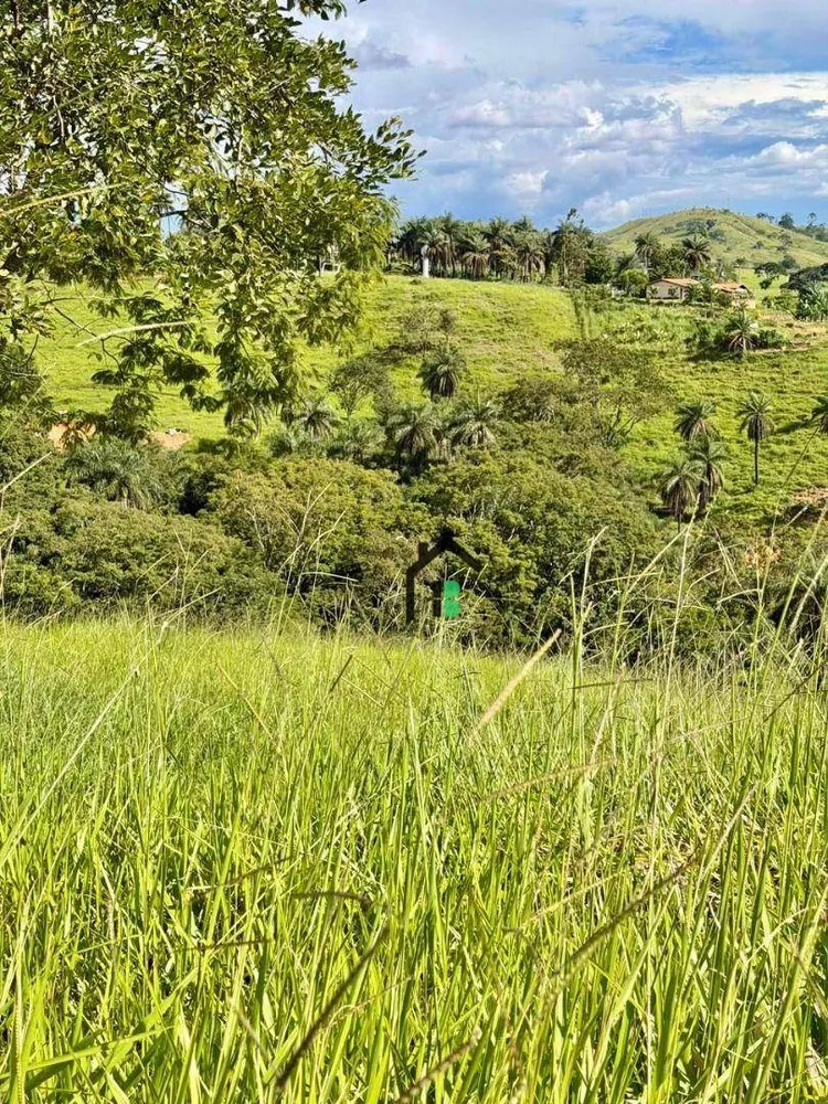 Fazenda, 5 hectares - Foto 10