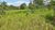 Fazenda, 108 hectares - Foto 1