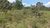 Fazenda, 108 hectares - Foto 2