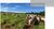 Fazenda, 45 hectares - Foto 5
