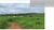 Fazenda, 45 hectares - Foto 4