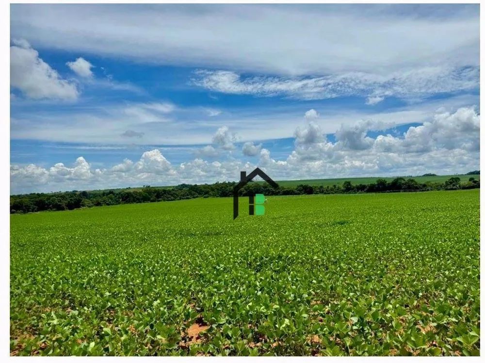 Fazenda, 124 hectares - Foto 3