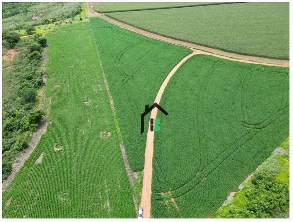 Fazenda, 124 hectares - Foto 2