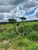 Fazenda, 83 hectares - Foto 4