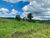 Fazenda, 83 hectares - Foto 1