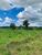 Fazenda, 83 hectares - Foto 3