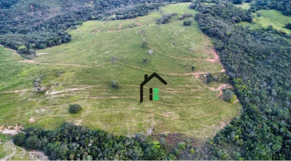 Fazenda, 133 hectares - Foto 4