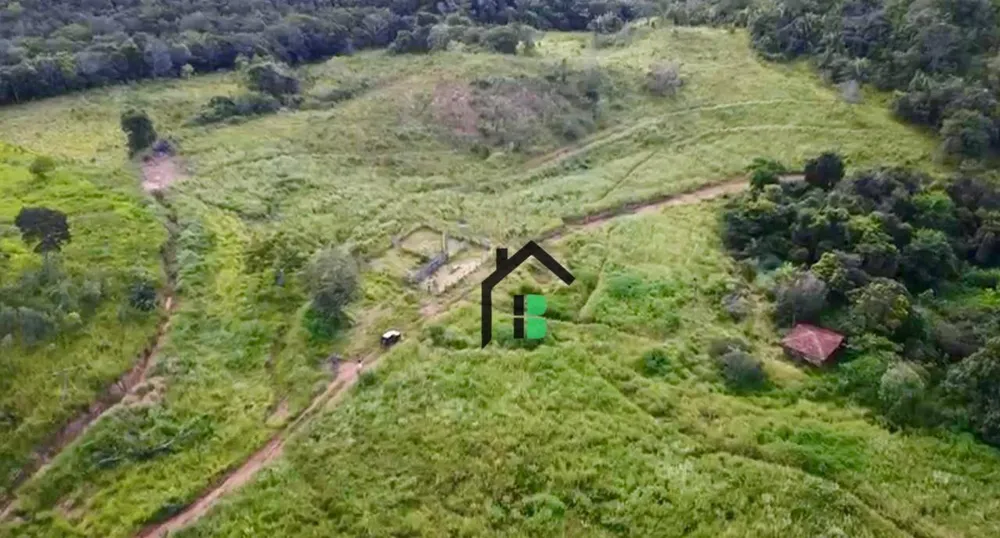 Fazenda, 133 hectares - Foto 3