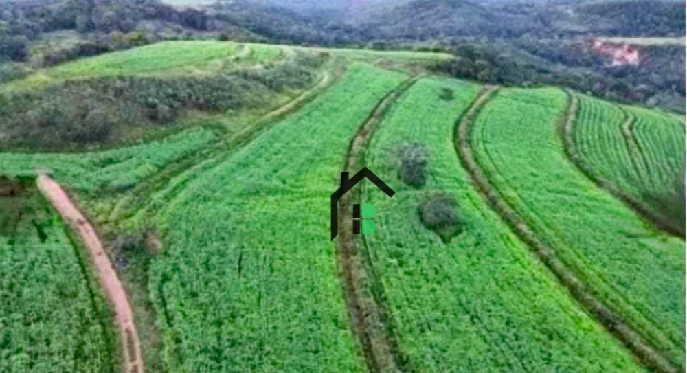 Fazenda, 133 hectares - Foto 2