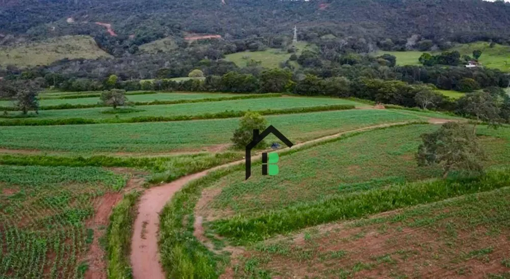Fazenda, 133 hectares - Foto 1