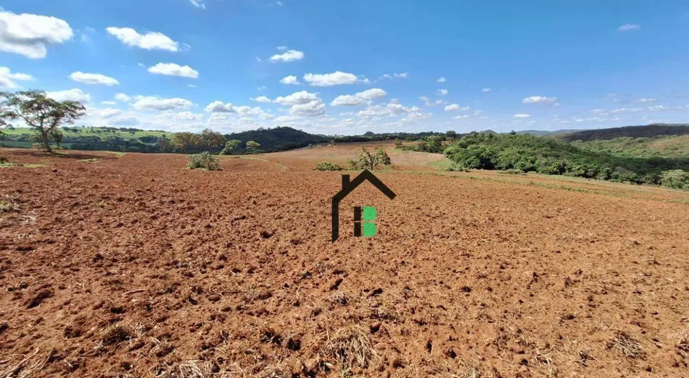 Fazenda, 133 hectares - Foto 7